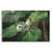 " Textures 19 " by Gordon Semmens-1157293249
