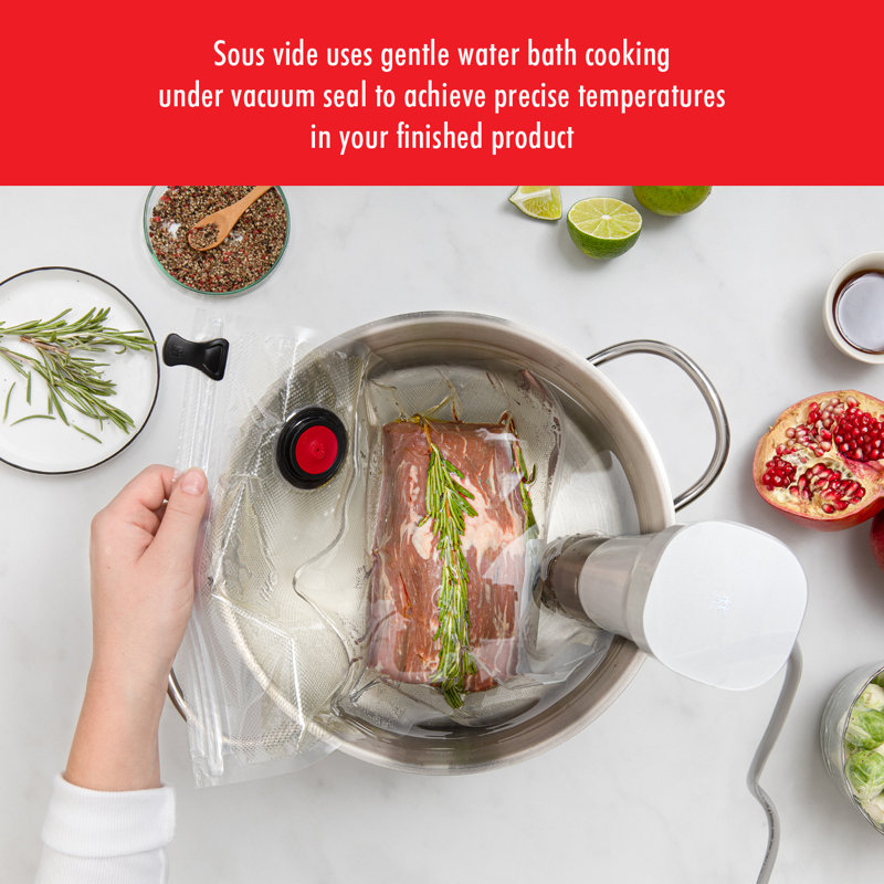 ZWILLING Enfinigy Sous Vide Stick, White