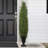 5'' Artificial Cedar Pine Arborvitae Tree In Urn Style Pot  Unlit