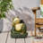 FROG UMBRELLA BASE