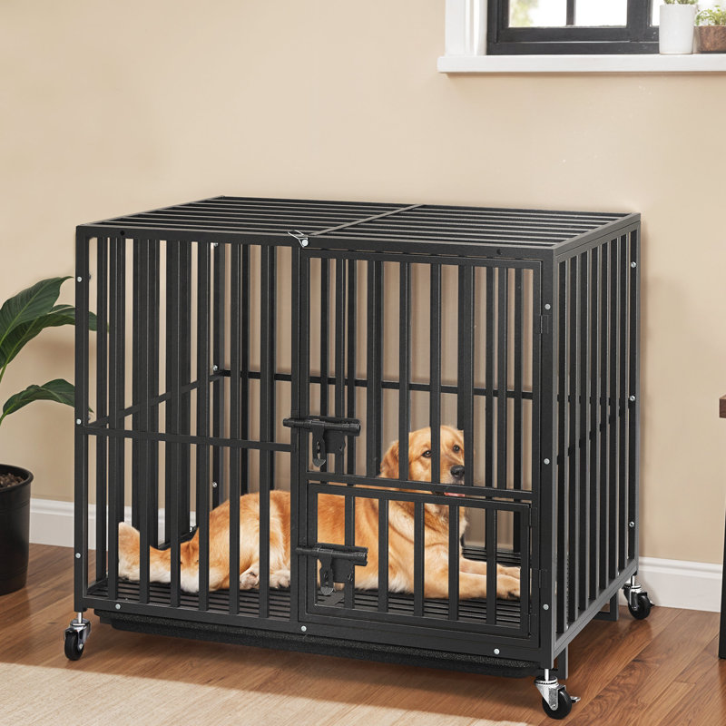 Mobilier de cage robuste pour chien sur roulettes, H 32,7 po x l 37,4 po x P 22,4 po