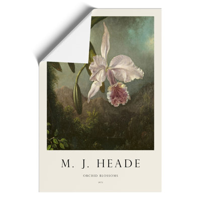 Orchid Blossoms - No Frame Print