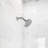 Mills Modern Standard Adjustable Shower Head-53882257
