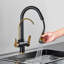 Belfry Kitchen Alfon Pull Out Kitchen Faucet