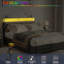 Lit Rediona-1147005466-1146382598