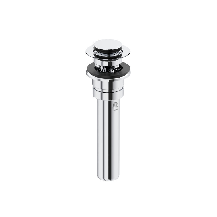 Push Drain with Overflow