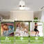 Ceiling Fan with LED Lights-799474058-799474059