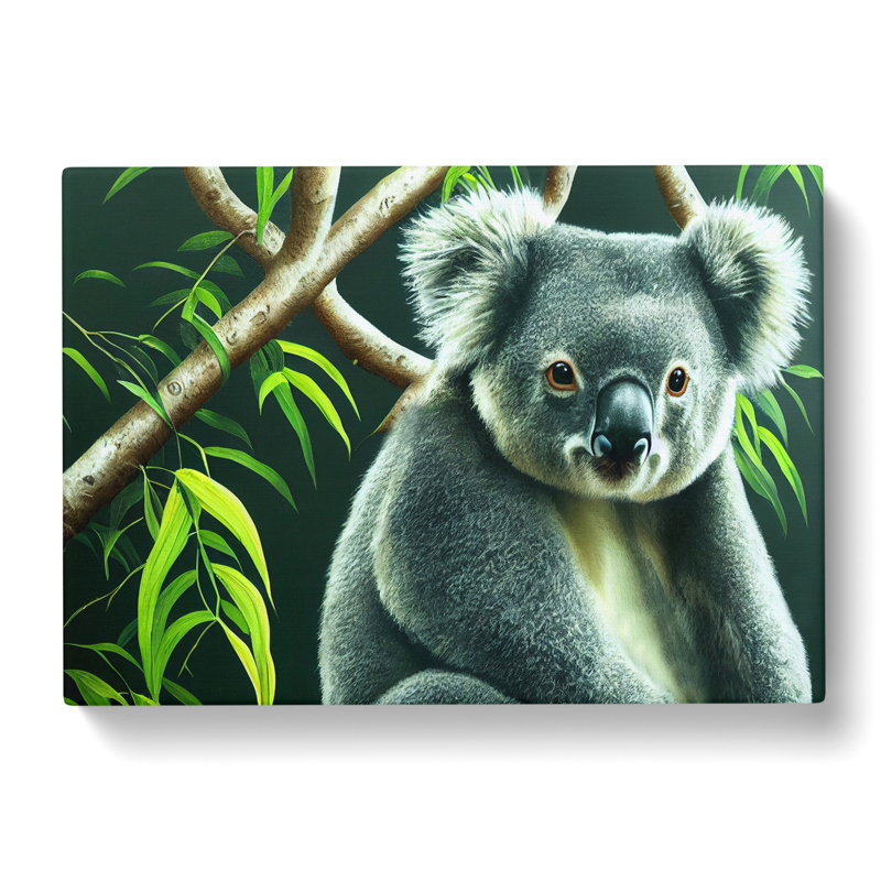 Koala Bear Art Vol.3 - Wrapped Canvas, 50cm H x 76cm W x 3cm D