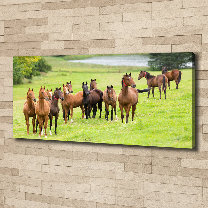 Herd Of Horses In The Meadow - No Frame Print on Canvas
