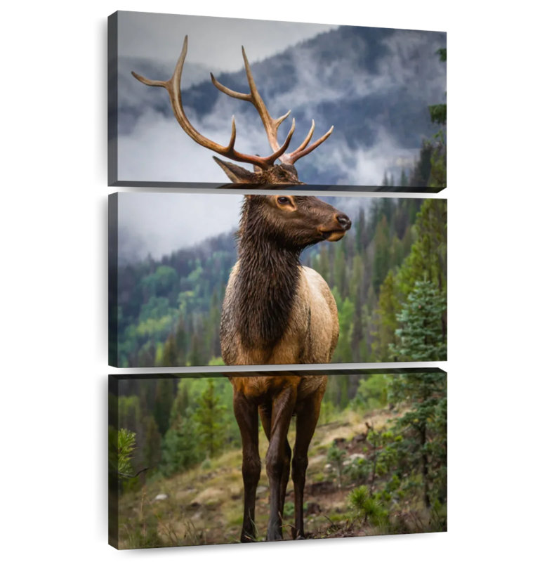 Brampt Elk In The Rockies, 45" H x 28" W