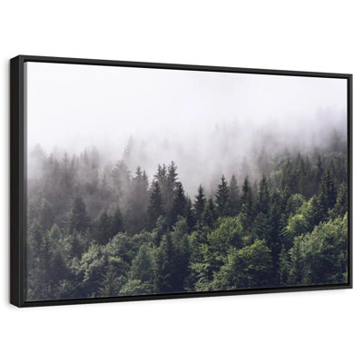 Alvord Hazy Pine Forest