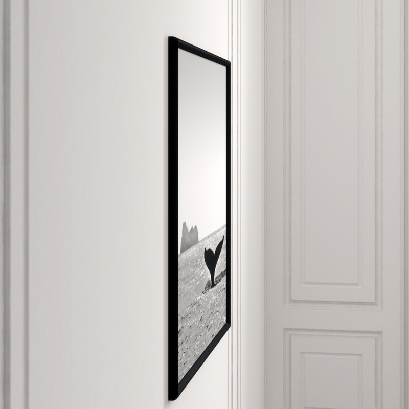Majestic Orca' Framed Photographic Print