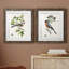 Oiseau antique, botanique et œuf III - ensemble de 2 reproductions d'art sur papier encadré-481924817-481924820