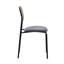 2 Alecsis Side Chairs in Grey