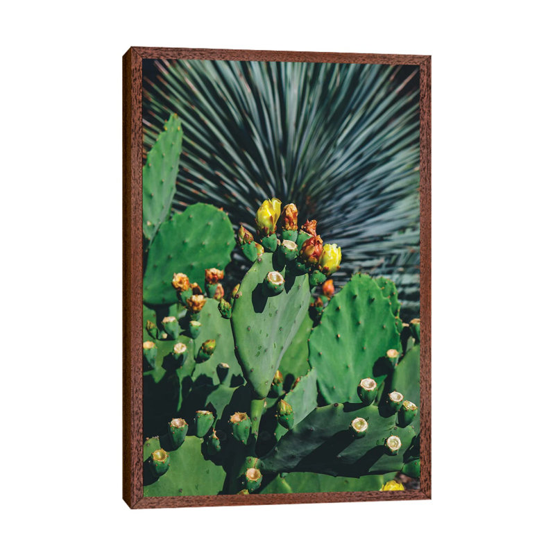 Wild Blooms by Bethany Young - Print on Canvas, 152.4cm H x 101.6cm W x 3.81cm D, Classic Brown Wood Framed