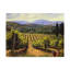 «Tuscany Vines» par Michael Swanson, reproduction sur toile tendue-33426719