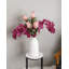 Green Phalaenopsis Orchid 33"-97239944-97239945