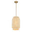 Luminaire suspendu en laiton 1 lumière Bay Isle Home ™ Azisa