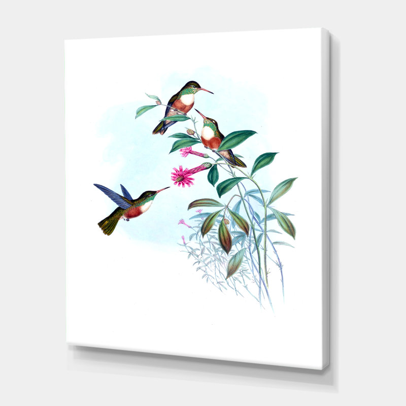 Colibri rétro IV - peinture sur toile, H 32 po x l 16 po x P 1 po, Toile tendue