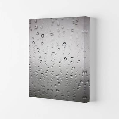 Touch of Rain 1 Piece Wall Art