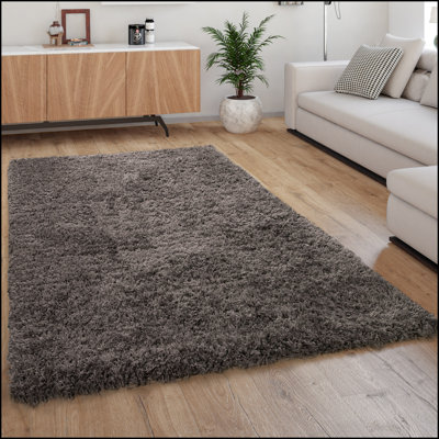 Brucedale Uniform Color Shag Area Rug