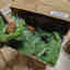 Customer photo 2 of 2