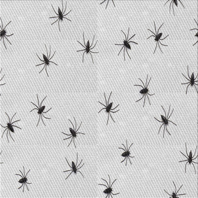 Indoor Rug