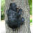 Bear Hugger Hanging Tree Figurine Outdoor Décor