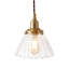 1 - Light Brass Pendant