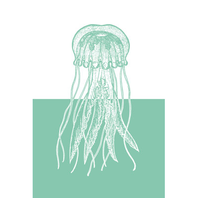 Seafoam Jelly - Wrapped Canvas Print