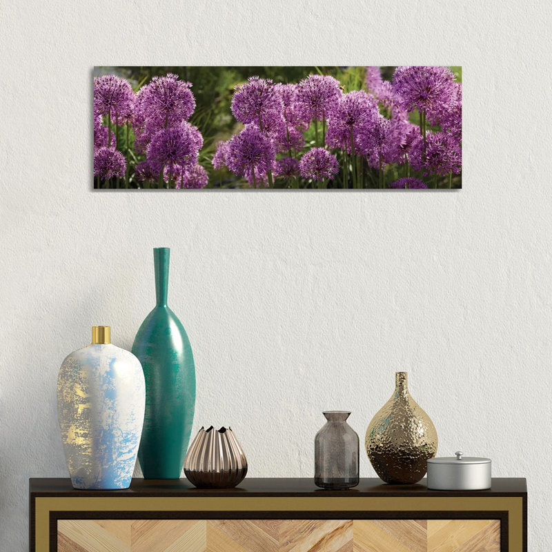 Close-Up Of Purple Puffball Allium Flowers - Wrapped Canvas Panoramic Print, 30.48 cm H x 91.44 cm W x 1.91 cm D