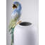Macaw Bird Vase-800689230