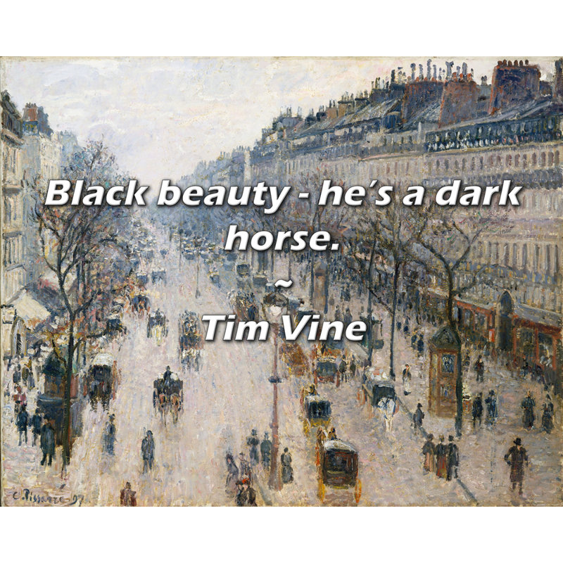 Citation de Tim Vine: beauté noire - c'est un cheval noir.