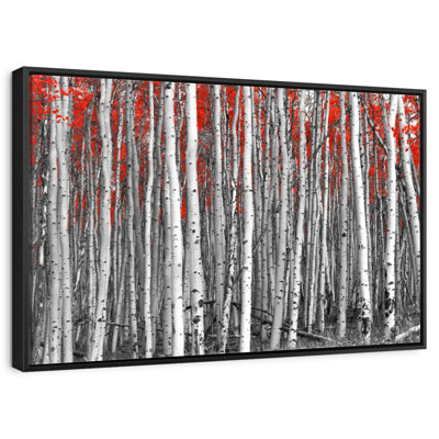 Forêt de bouleaux rouges