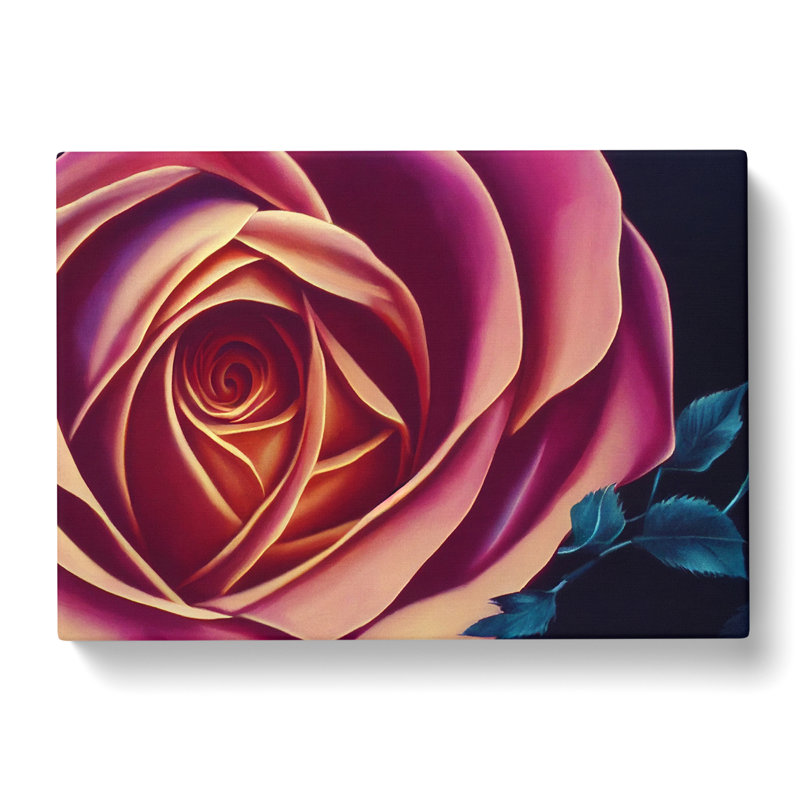 Legendary Rose Flower - Wrapped Canvas, 35cm H x 50cm W x 3cm D