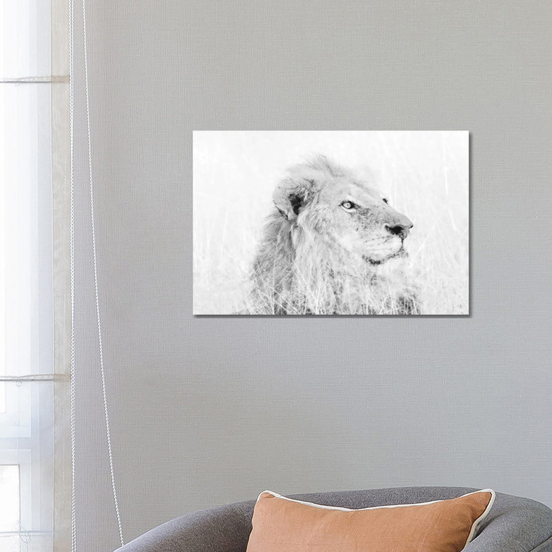 Male Lion High Key by MScottPhotography - Wrapped Canvas Print, 66.04 cm H x 45.72 cm W x 1.91 cm D
