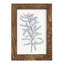 Indigo Botany Study II - impression d'un seul cadre photo-1723059170-1723059195