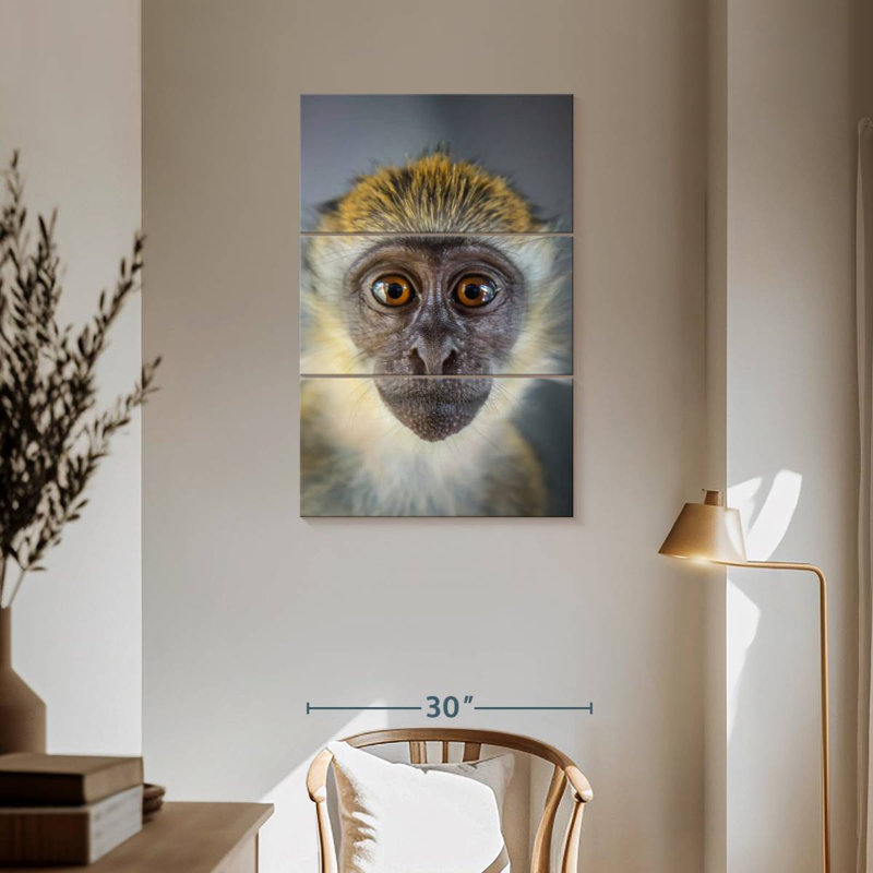 Brampt Vervet Monkey, 57" H x 36" W
