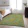  Premium Machine Washable Cerrito AMF533 Rug