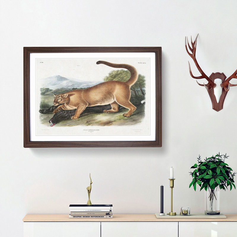 Cougar by J.W. Audubon - Picture Frame Painting Print, Walnut Framed, 27cm H x 36cm W x 2cm D