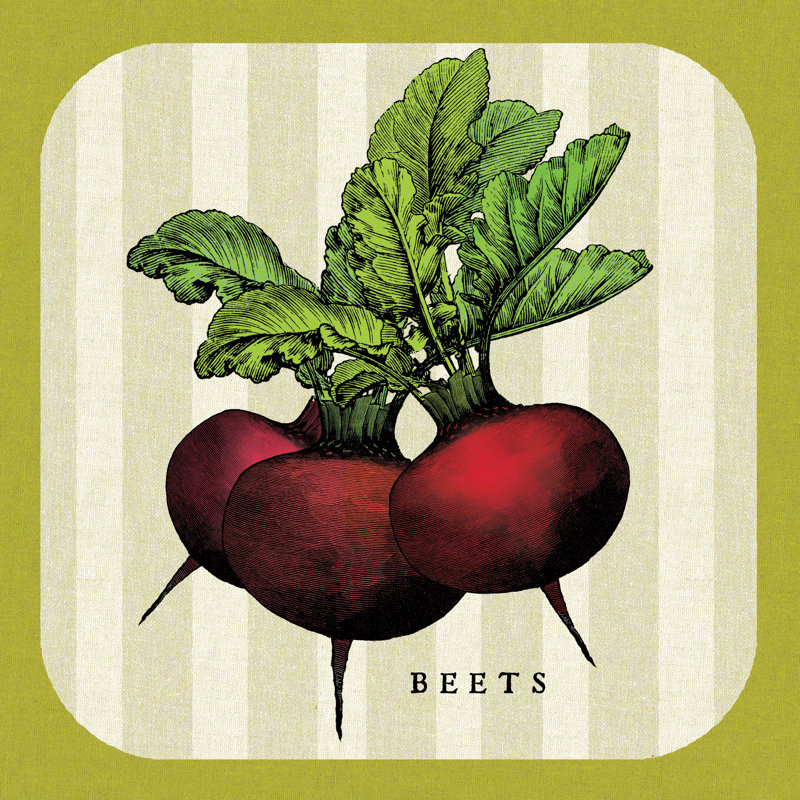 Linen Vegetable I by Studio Mousseau - No Frame Print on Canvas, 91cm H x 91cm W x 3.8cm D