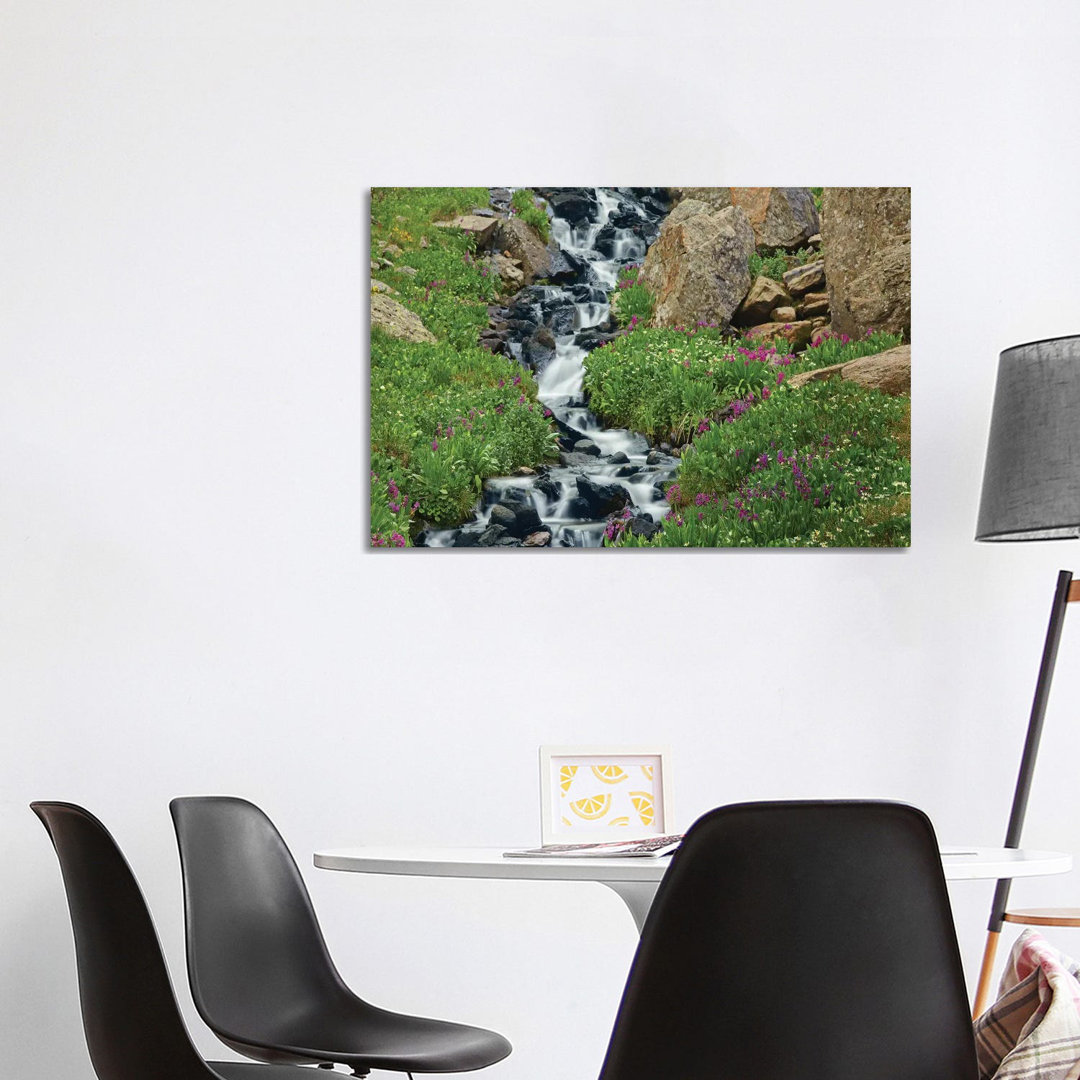 Porphyry Creek Near Silverton, Colorado I von Tim Fitzharris - Galerie-verpackte Leinwand Giclée auf Leinwand