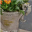 DELPHINE URN