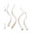 Jontavis Kudu Inner Horn Bone