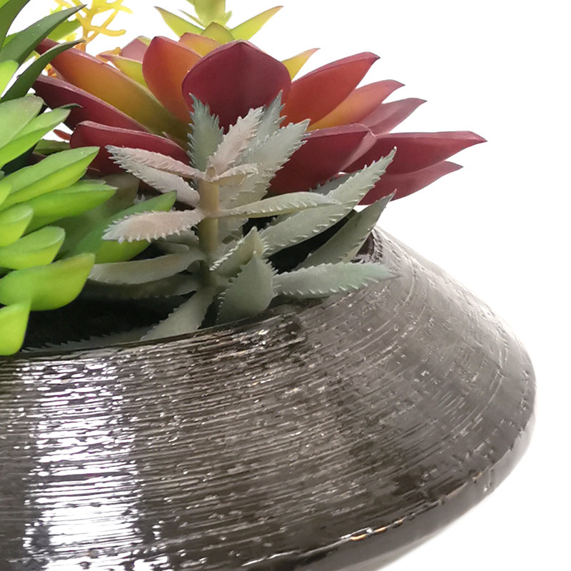 Plante grasse artificielle 6 po en pot, Noir