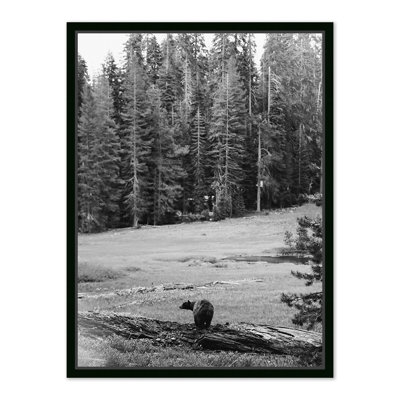 Don't Feed the Bears Framed Photographic Print