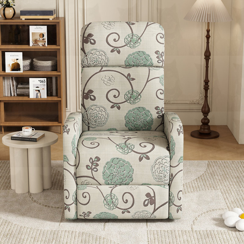 Cinéma maison Modern Recliner