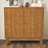 Trosclair Mid Century 2 Door Accent Cabinet with Cutout Design