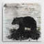 « birchbark bear », impression encadrée-626887593-618632195