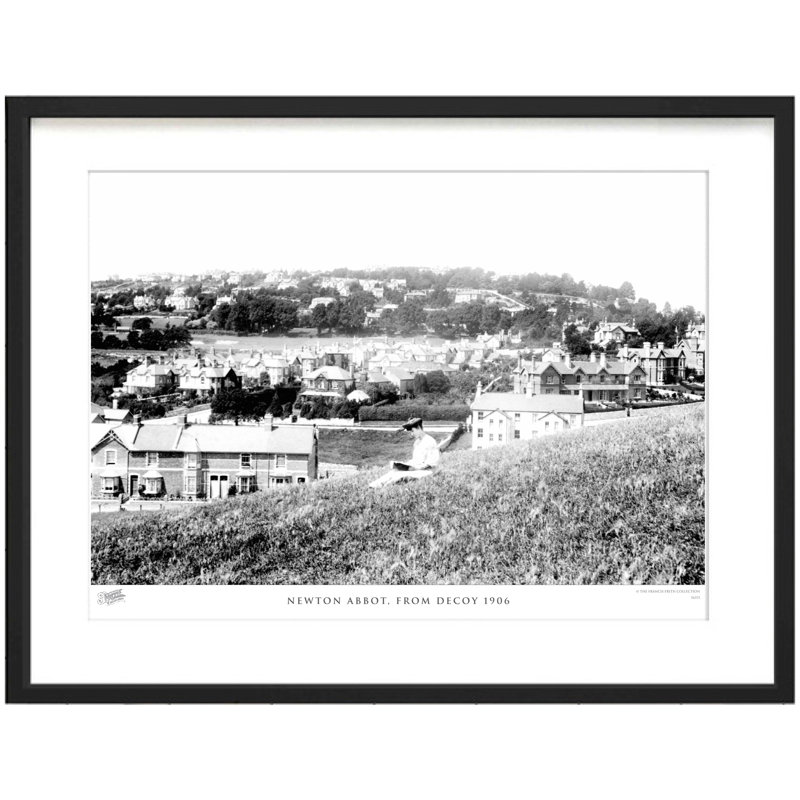 Newton Abbot, From Decoy 1906 by Francis Frith - Single Picture Frame Print, 60cm H x 80cm W x 2.3cm D